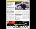 sportverdashow-loero.jpg