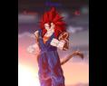 ssj4-vegito-vs-ssj4-gogeta-9042.jpg